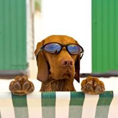 TripsWithPets.com - Pet Friendly Hotels & Travel