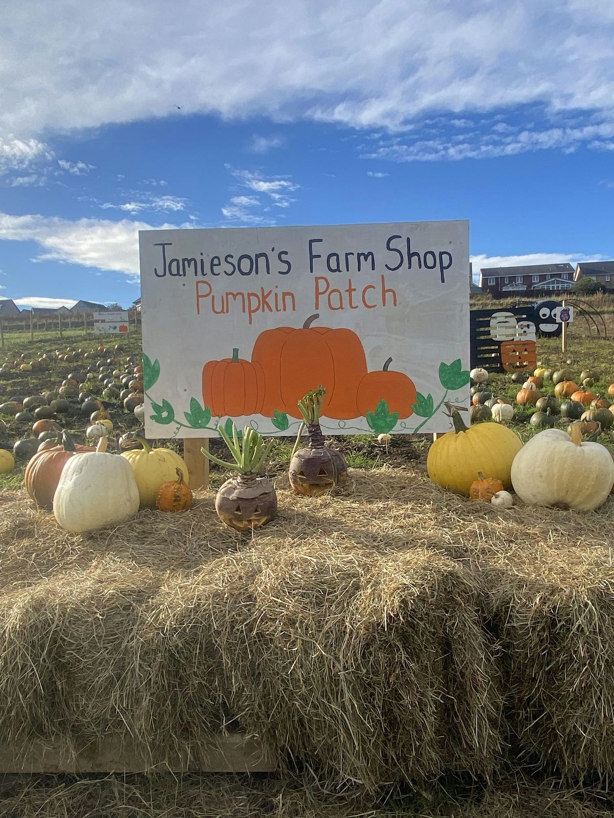 Jamieson's Farm Shop Pumpkin Patch 2026 in Cove Bay, Sun Oct 4 | Hunt ...