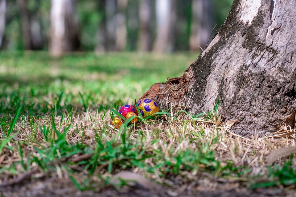 Easter Egg Hunt [FULL] Tondoon Botanic Gardens, Gladstone South, QL