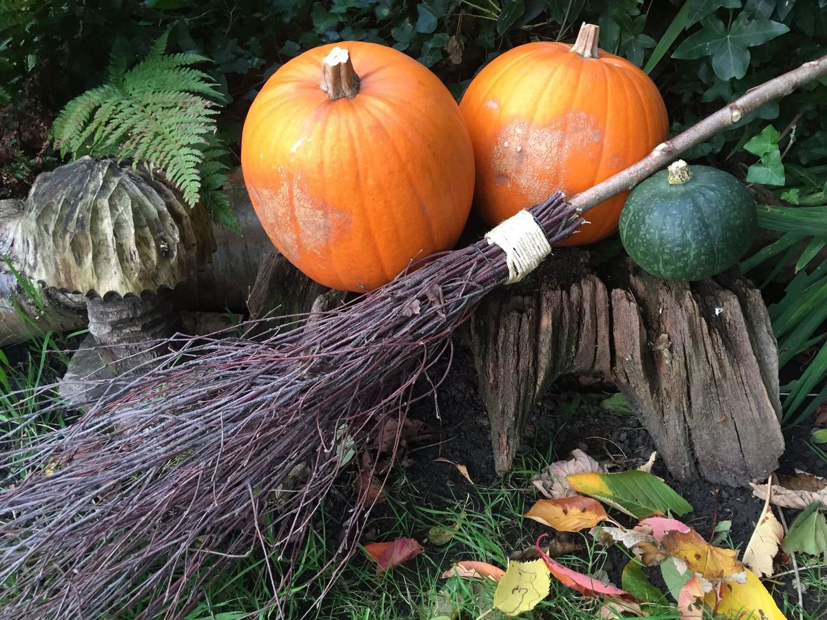 Halloween Campfire and Broomstick making