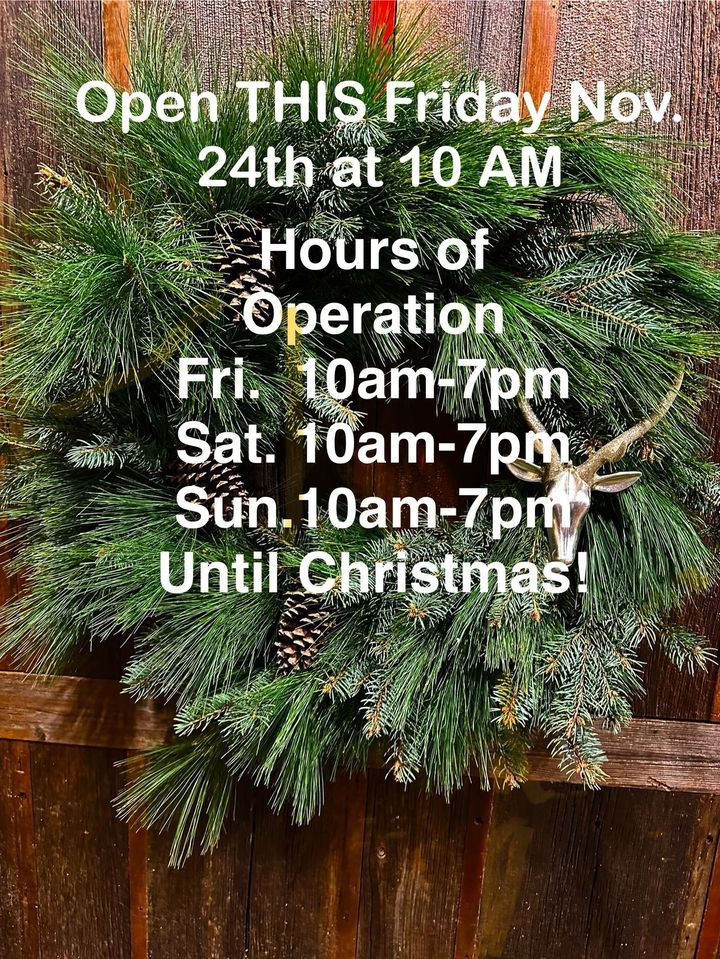 Pre Cut Christmas Trees Mielk Manor, Clinton, IA December 1, 2023