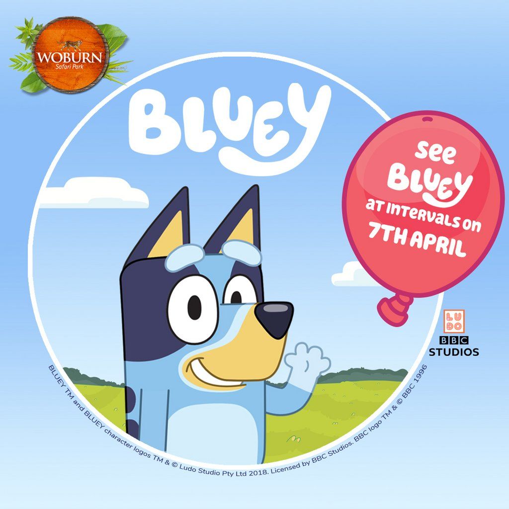 Meet Bluey at Woburn Safari Park this Easter! Woburn Safari Park