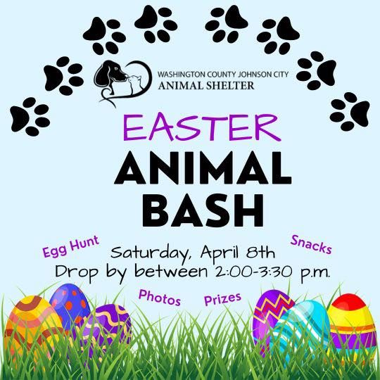 Easter Animal Bash Washington County TN Animal Shelter Johnson City Easter Animal Bash Washington County TN Animal Shelter Johnson City