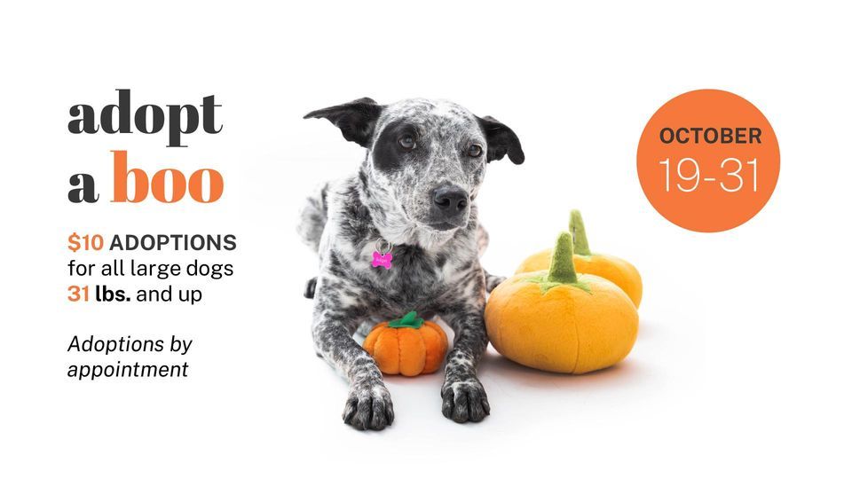 Adopt a Boo