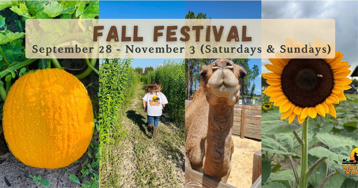 Fall Festival at Mayhem Ranch 