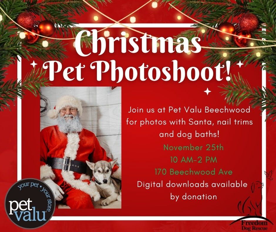 Christmas Pet Photoshoot Beechwood Pet Valu Ottawa Beechwood