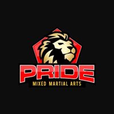 Pride Mixed Martial Arts Kid's Program -Edmond OK