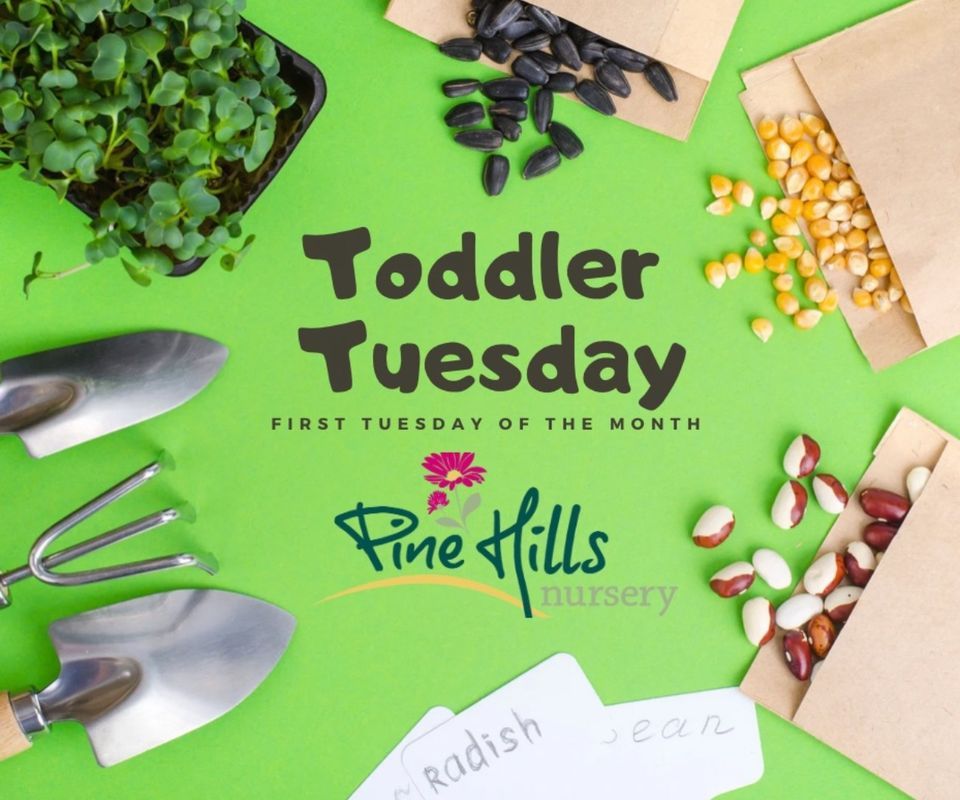 Toddler Tuesday at Pine Hills Pine Hills Nursery, Pass Christian, MS