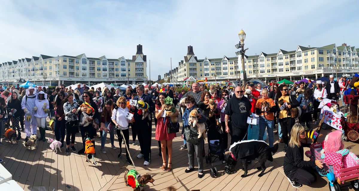 Long Branch Fall Festival and Pooch Parade