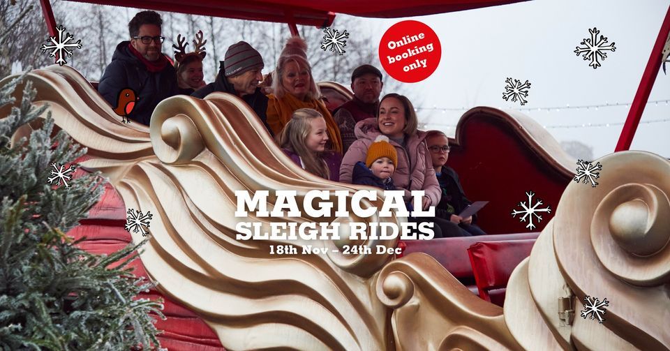 Magical Sleigh Rides Piglets Adventure Farm, York, EN December 1, 2023