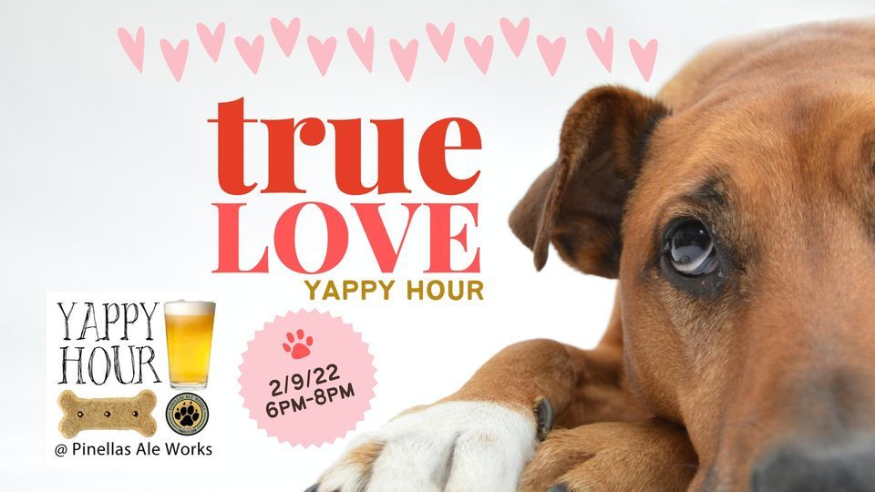 Yappy Hour with Pet Pal Animal Shelter | Pinellas Ale Works, Saint  Petersburg, FL | February 9, 2023