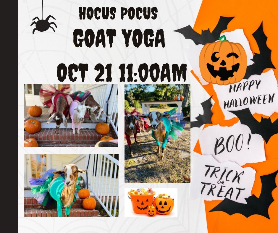 Hocus Pocus Goat Yoga Beechcreek Farm, Lexington, SC October 21, 2023