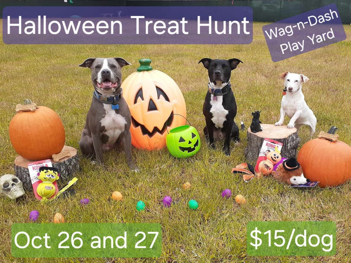 Halloween Treat Hunt