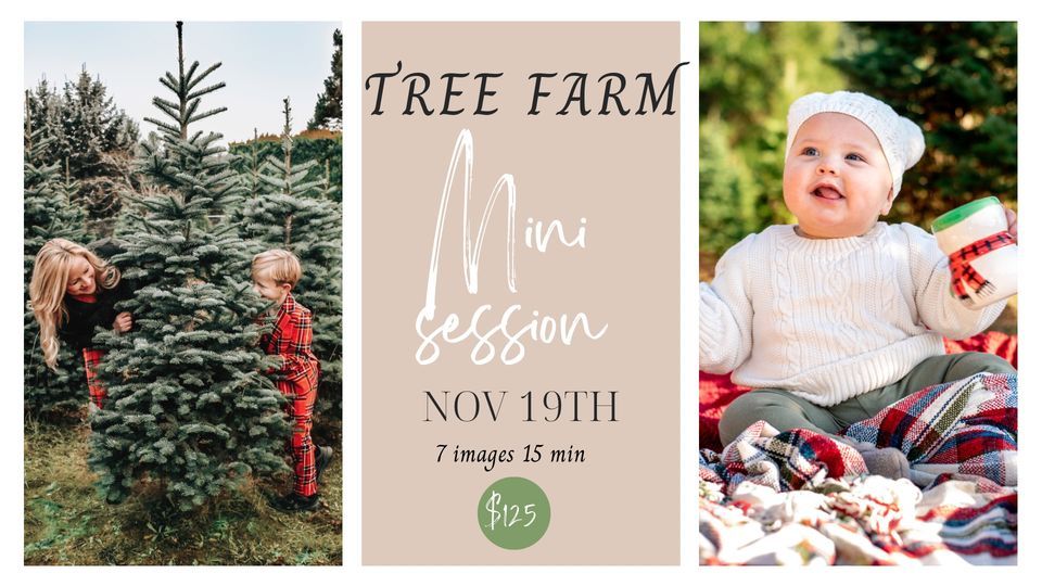 Tree farm mini sessions JTB Christmas Trees, Gresham, OR November