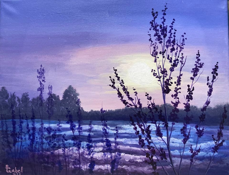 Robinsons 14th Annual Xmas Craft Show Sunflower South Building