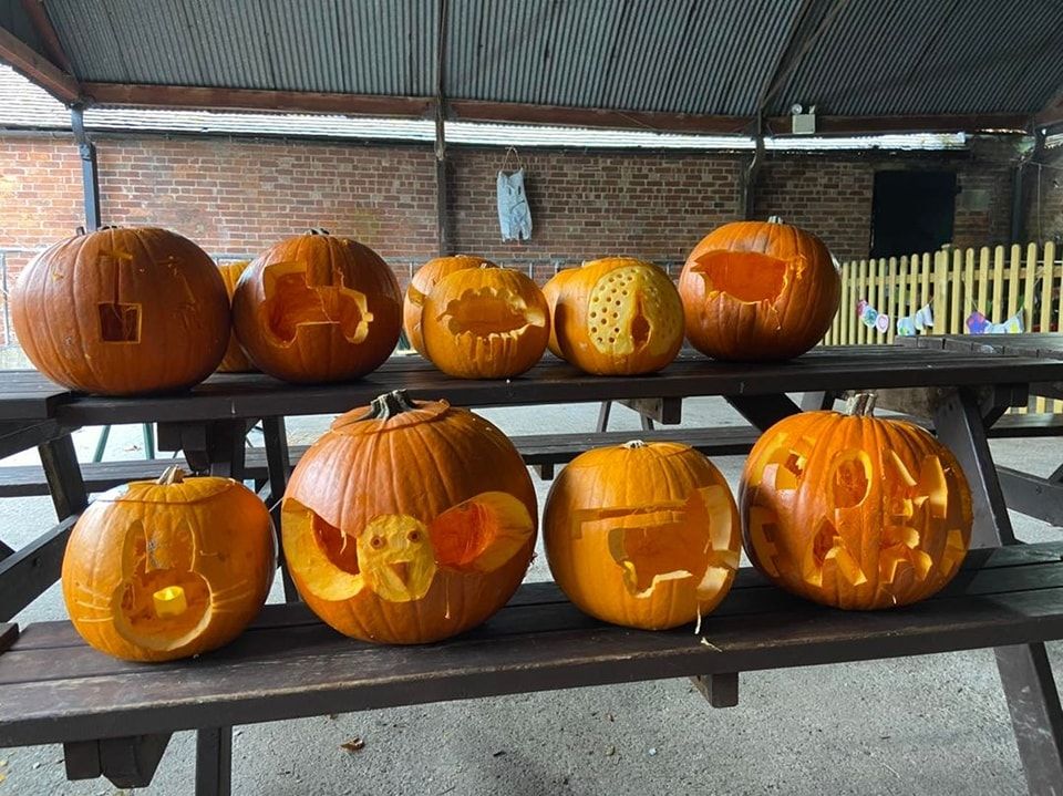 Pumpkin Carving at the Farm