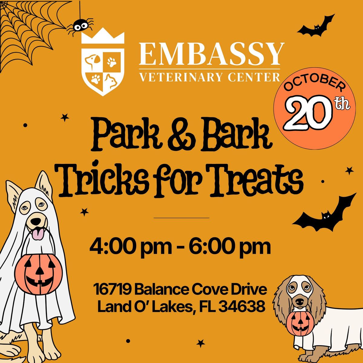 Park & Bark Tricks for Treats