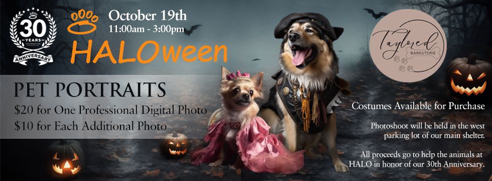 HALOween Pet Portraits