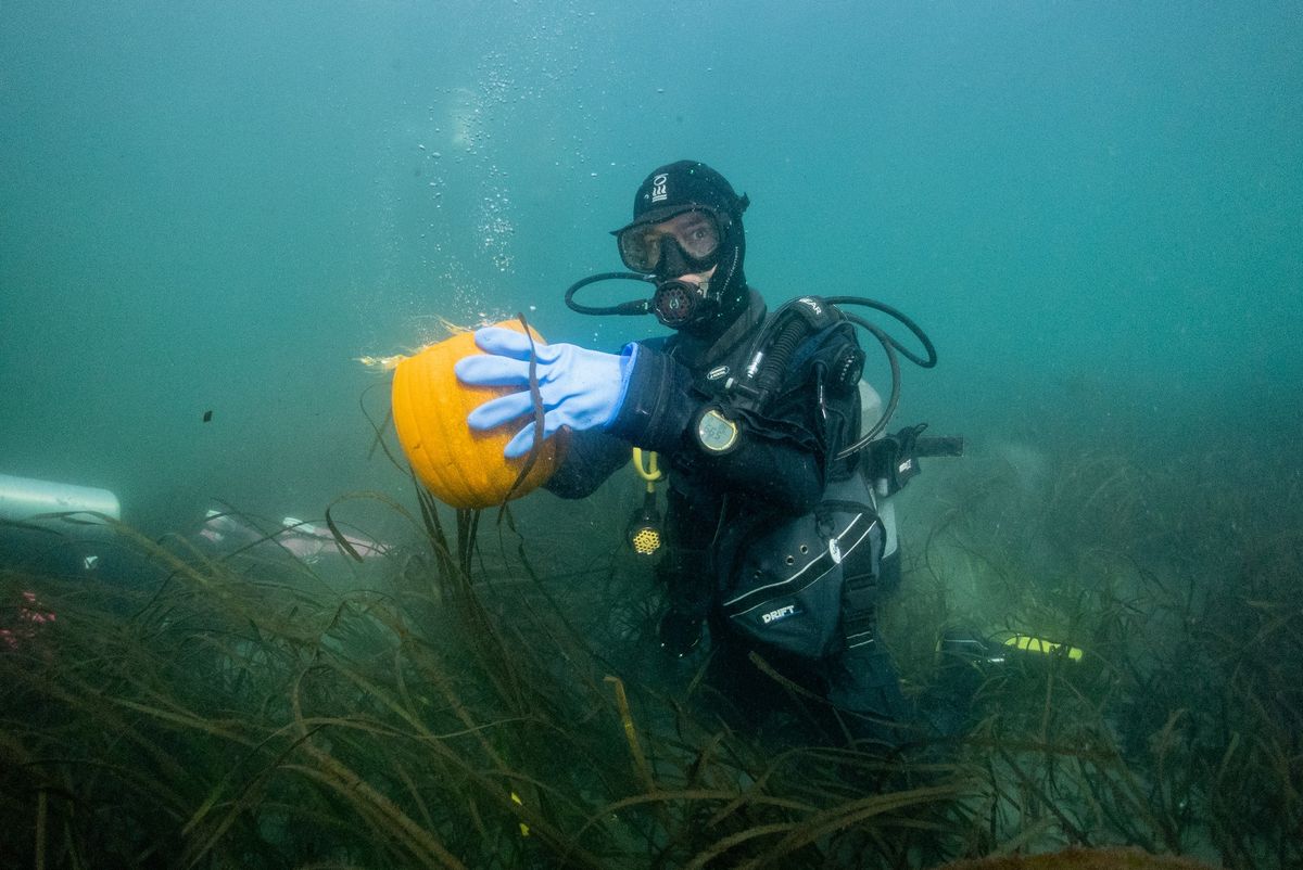 Underwater Pumpkin Carving