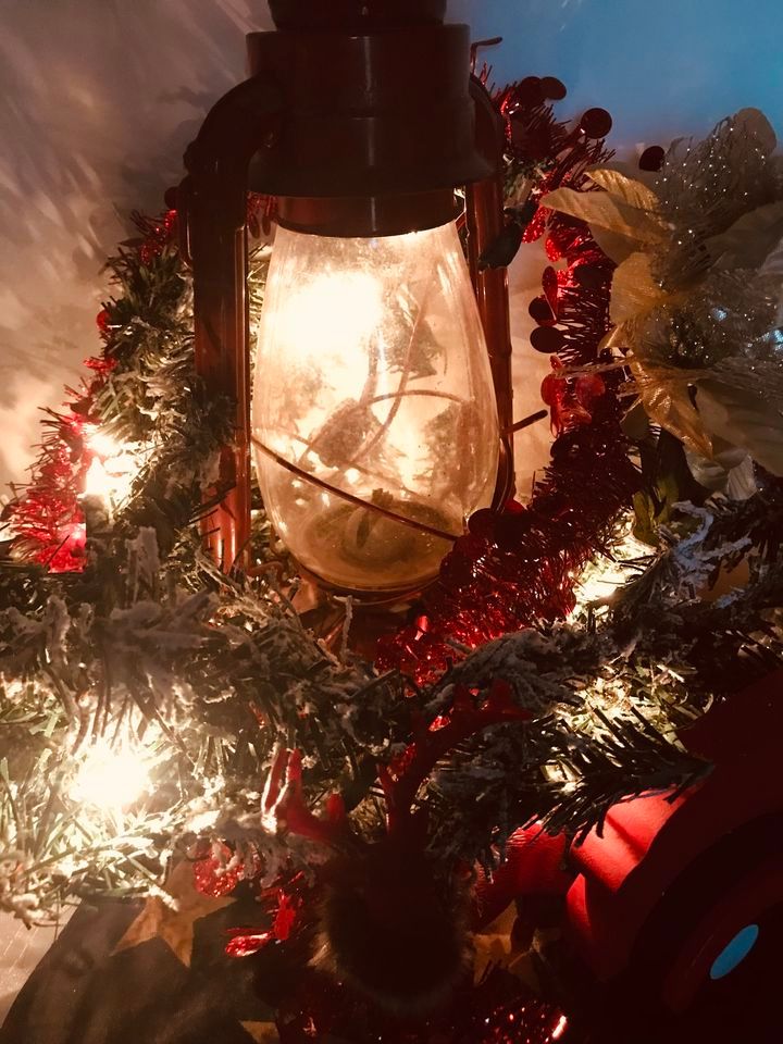 Holiday Family Minis 2023 Schultz Park, Elroy, WI December 2 to