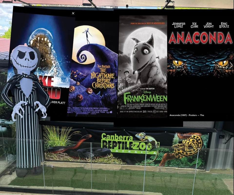 Out door cinema nights - Halloween themed 