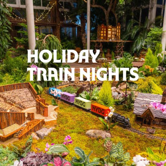 Holiday Train Nights at NYBG