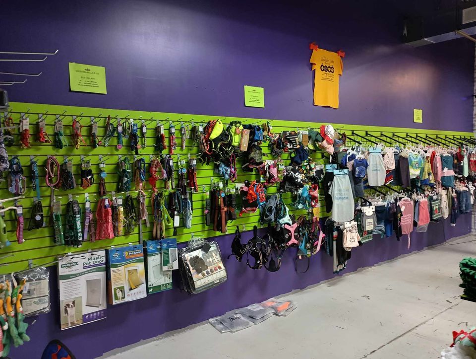 trick or treat The Factory in Farmington October 27, 2023