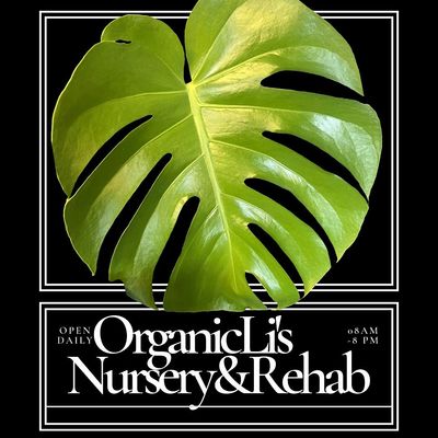 OrganicLi's Nursery & Rehab LLC