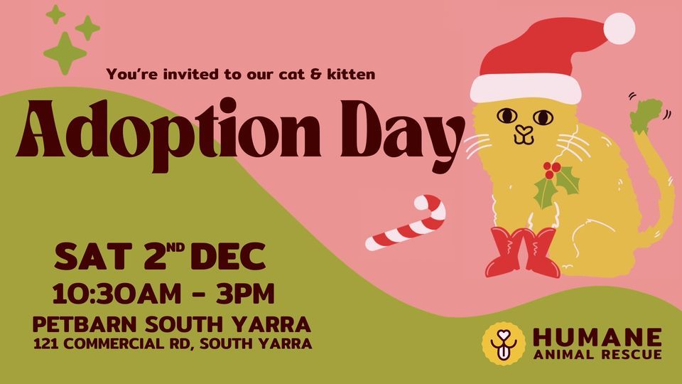 Cat & Kitten Adoption Day! ?? Petbarn (South Yarra, VIC, Australia
