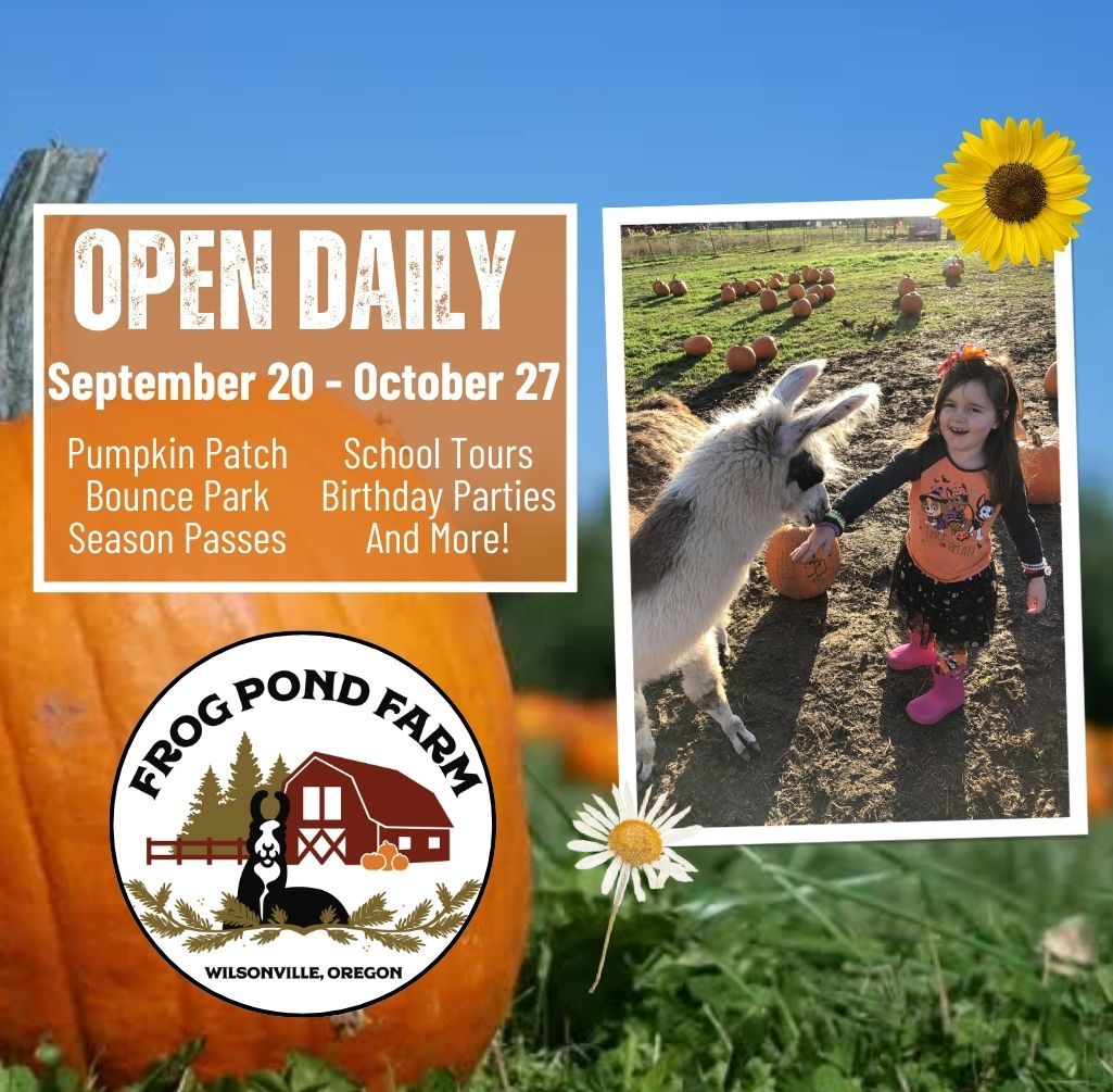 Pumpkin Patch at Frog Pond Farm