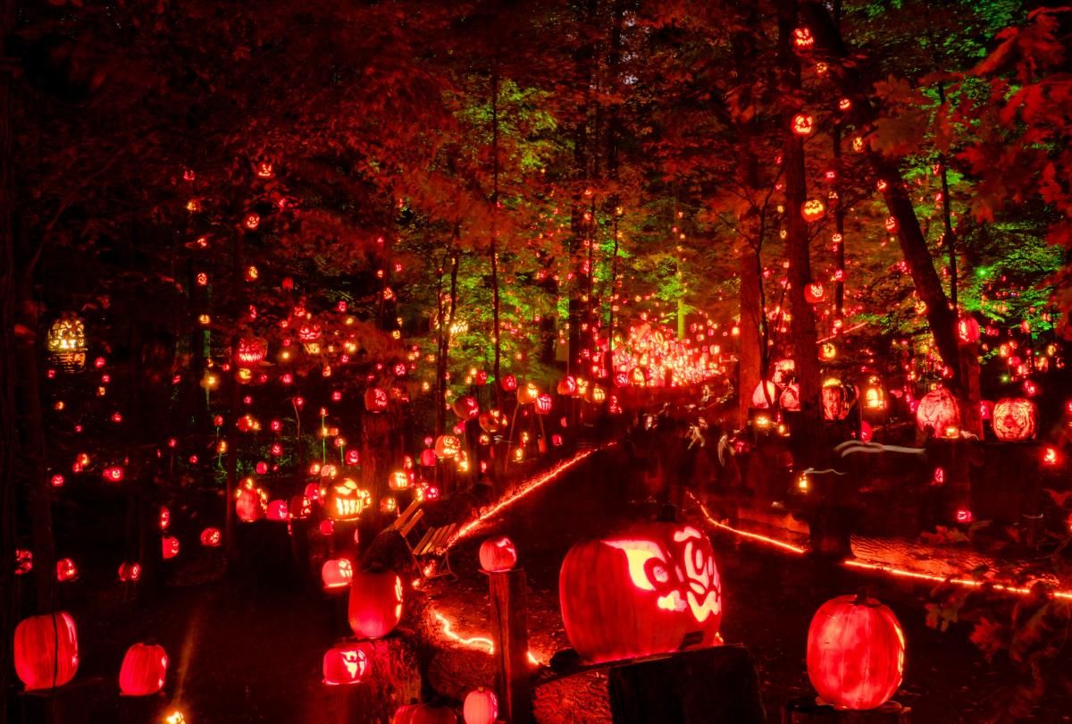 Jack O' Lantern Spectacular