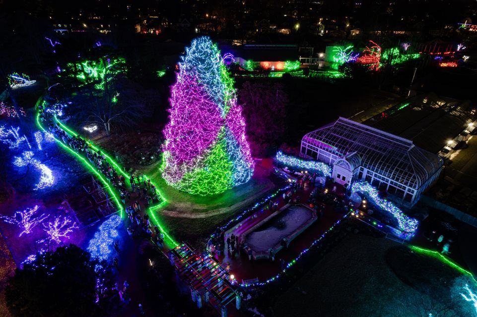 Lights Before Christmas Presented By KeyBank The Toledo Zoo