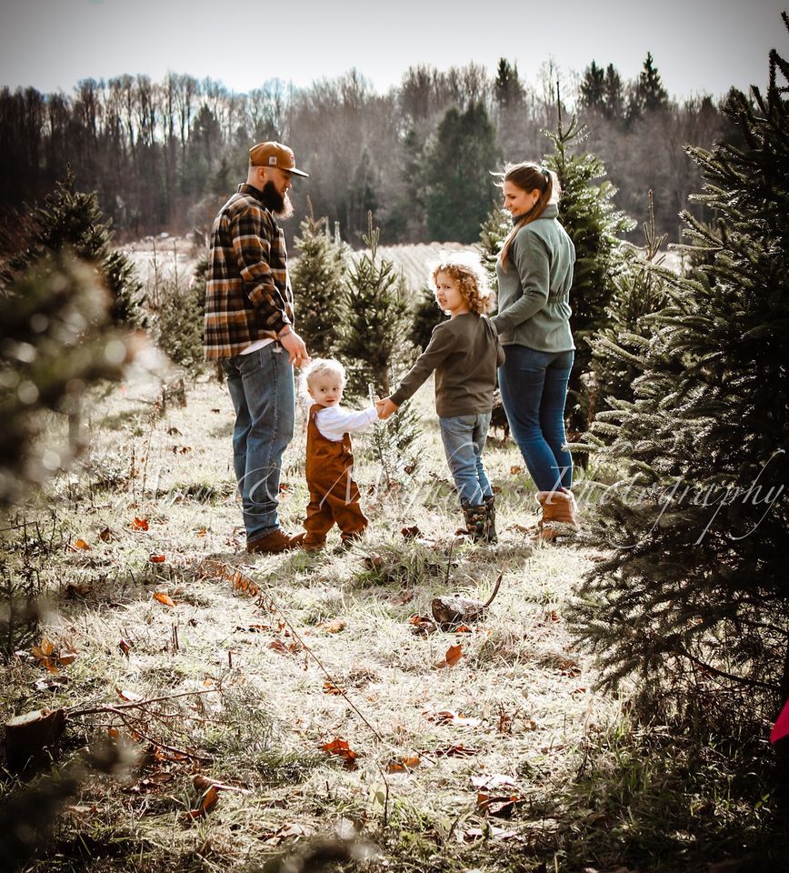 Christmas Tree Farm Mini Sessions Springville N.Y. December 2, 2023