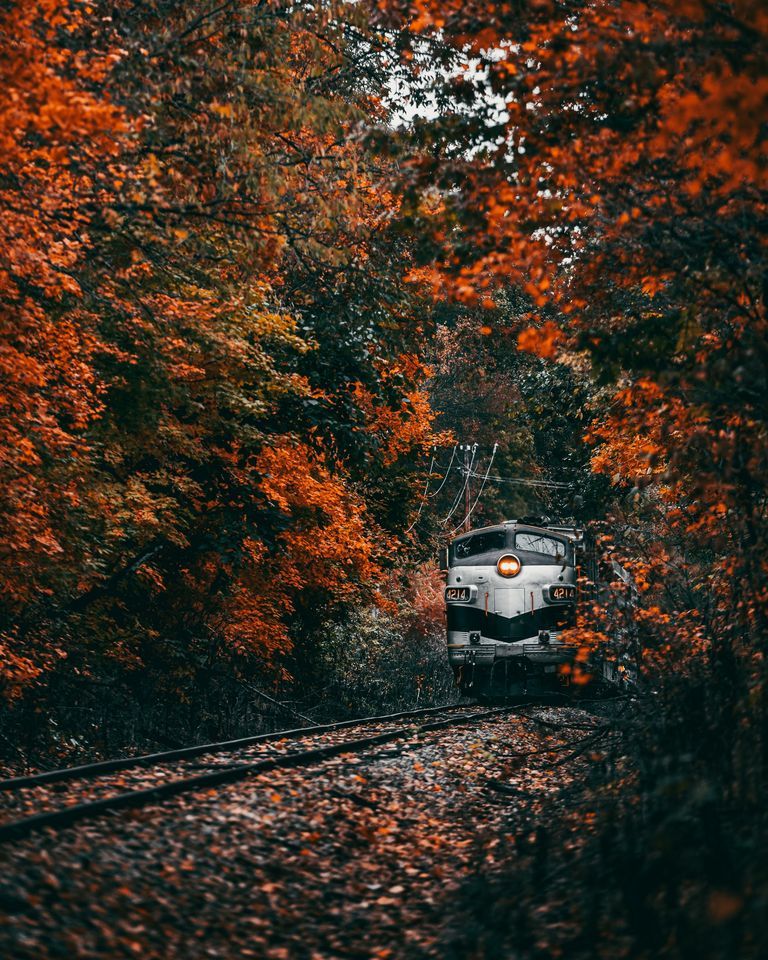 Trick or Treat on the Rails Nickel Plate Express, Noblesville, IN