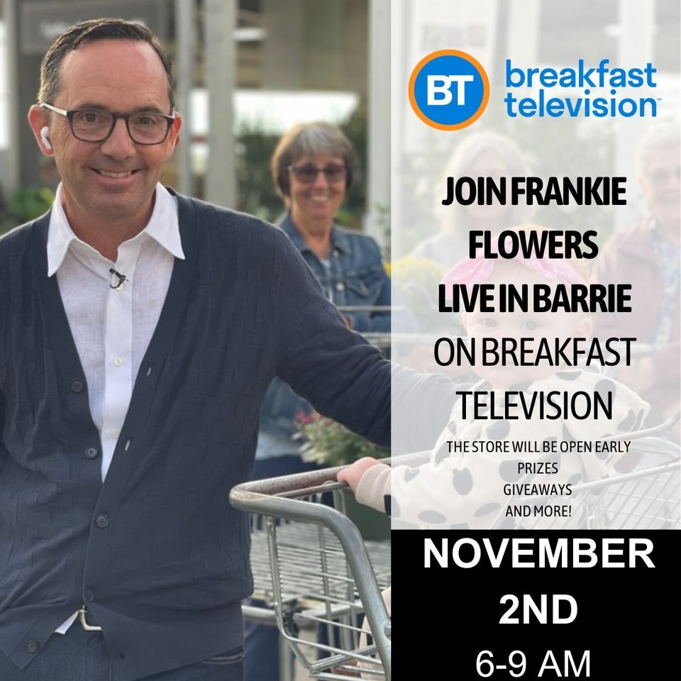 Frankie Flowers Live in Barrie On Breakfast Television Bradford