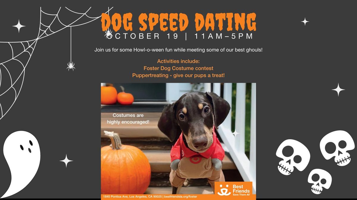 LA - Dog Speed Dating