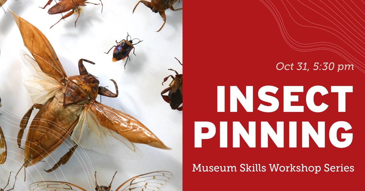 Insect Pinning Workshop