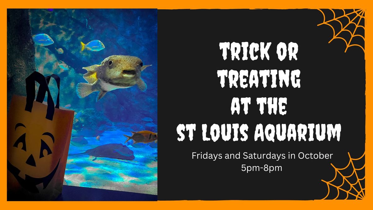 Trick or Treating at the St. Louis Aquarium