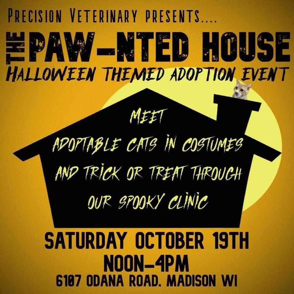 The Paw-nted House: Halloween Themed Adoption Event