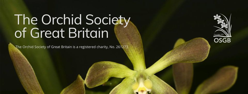 The Orchid Society of Great Britain Annual Photo Competition and Christmas Social 