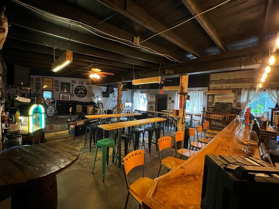 Halloween costume party Big Dogs Brewery , Walden, NY October 28, 2023