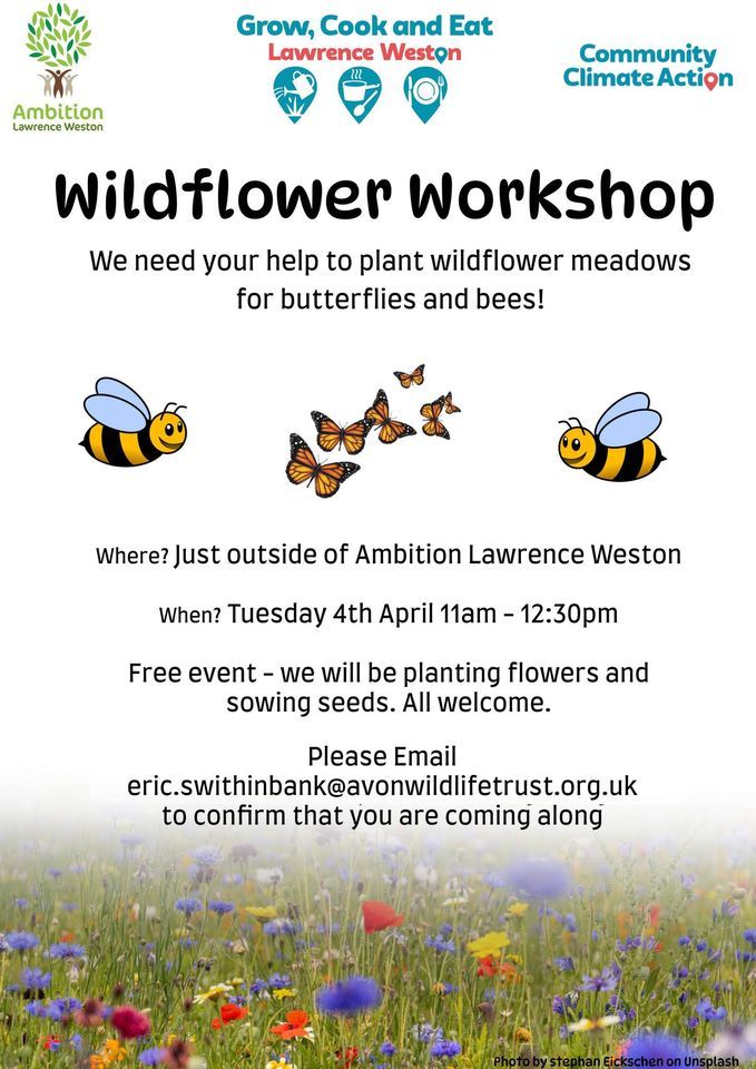Wildflower Workshop