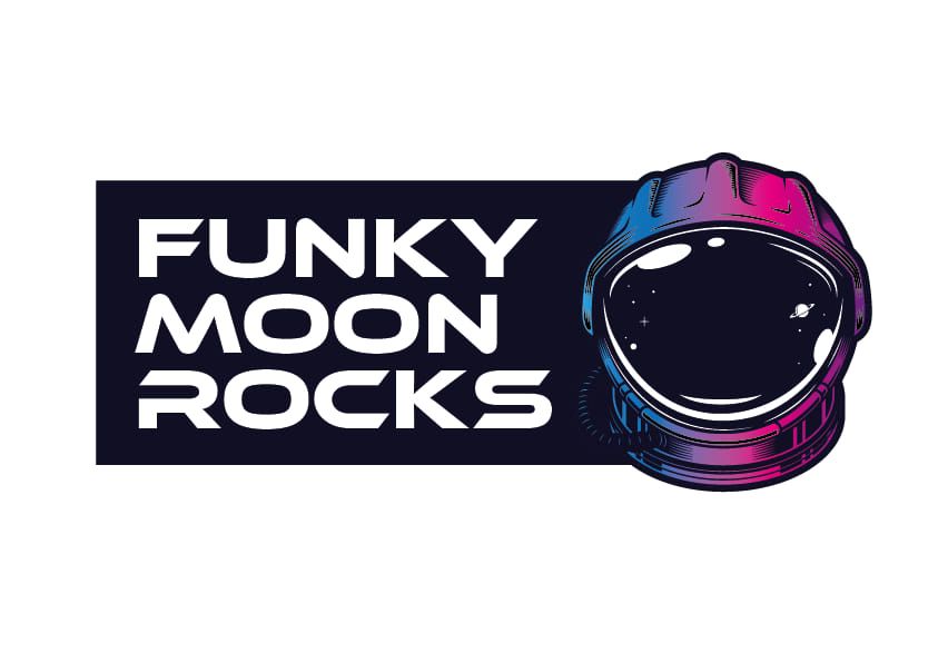 Funky Moon Rocks Arundel Ex Servicemens Club Sheffield Arundel Ex Servicemens Club Institute Sheffield En November 12 22