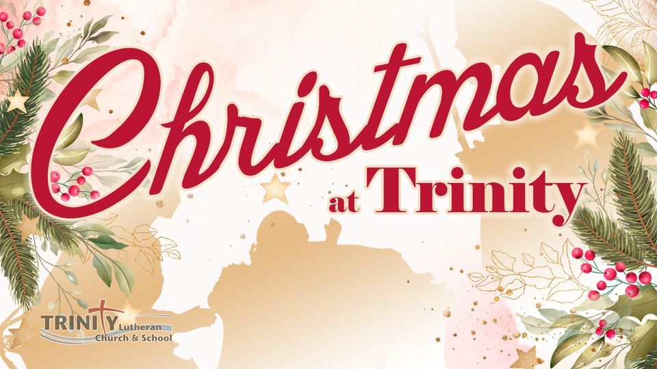 Christmas at Trinity 830 E Plaza Cir, Litchfield Park, AZ 853404915
