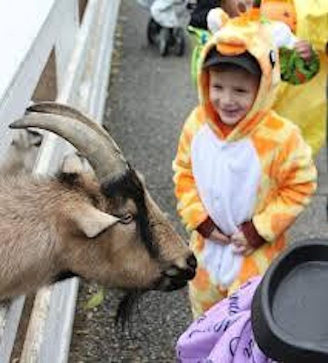 Boo at the Washington Park Zoo Washington Park Zoo, Michigan City, IN