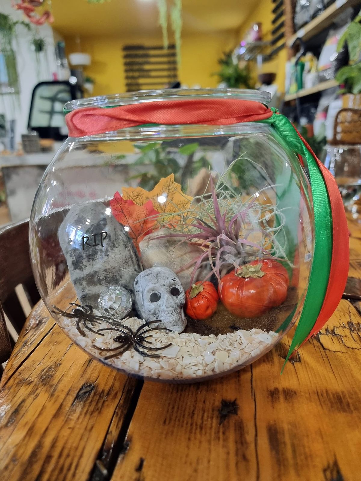 Kids plant workshops - Spooktacular Terrariums