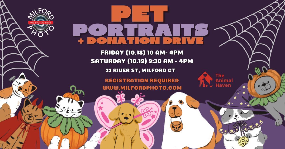 Pet Portrait Event - Milford Photo