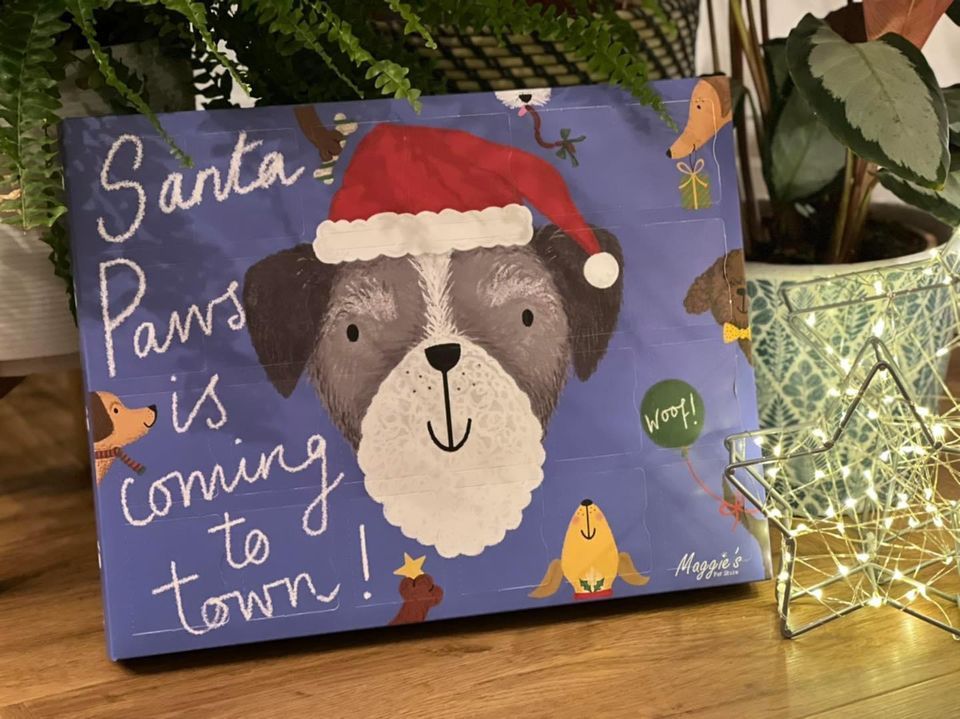 ?? Maggies Christmas Extravaganza ?? Maggie's Pet Store, Stockport