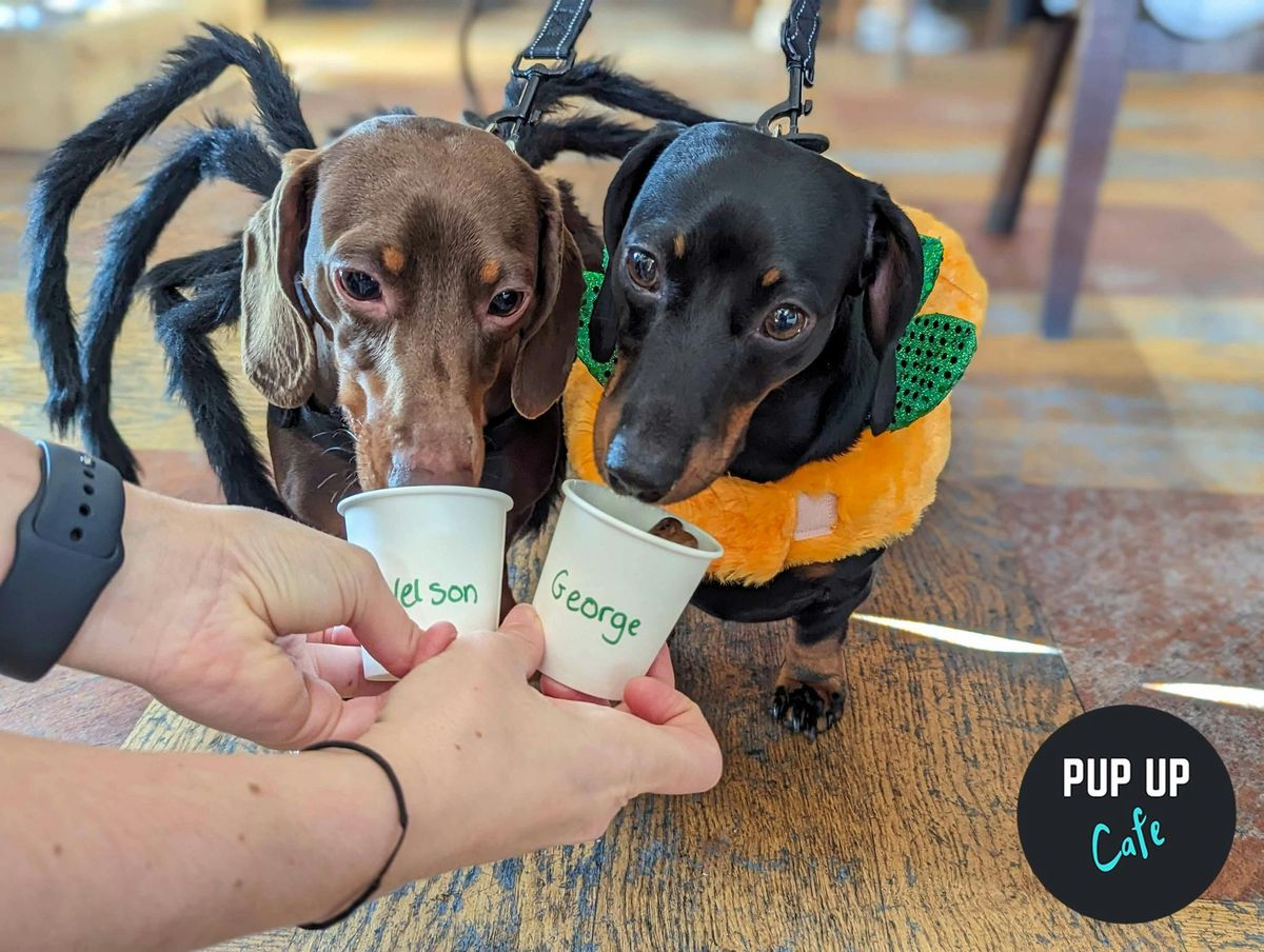 Halloween Dachshund Pup Up Cafe - London \ud83c\udf83