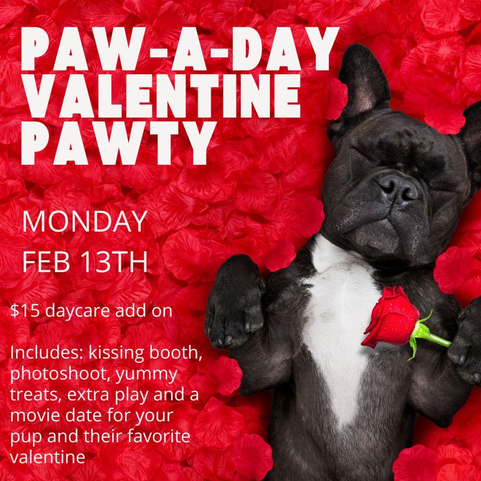 paw a day bowling green ky